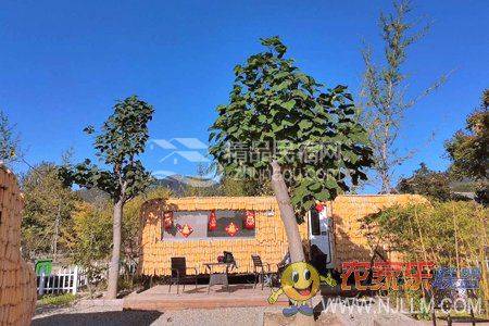 079015郭家沟村东邻梨木台自然风景区,西邻九山顶自然风景区.