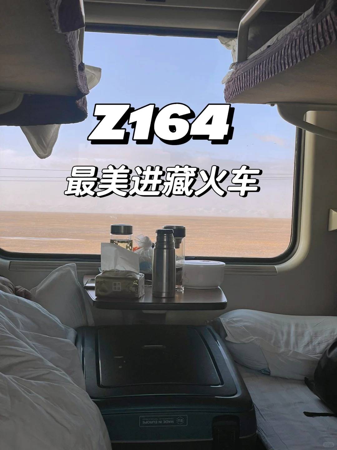 z312列车17车厢座位图图片