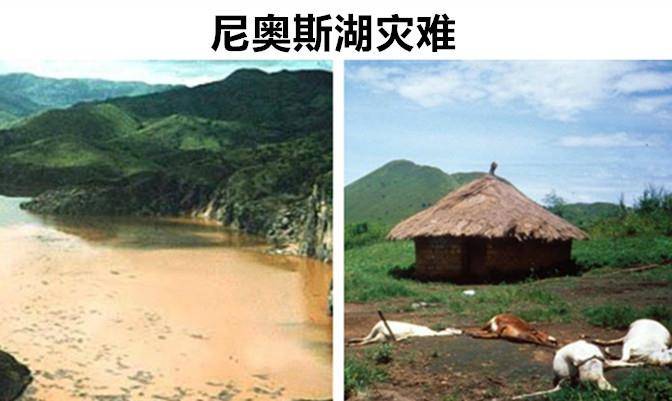 3,尼奥斯湖灾难指挥官报告说他无法识别这个生物,但看起来像鳄鱼,体长