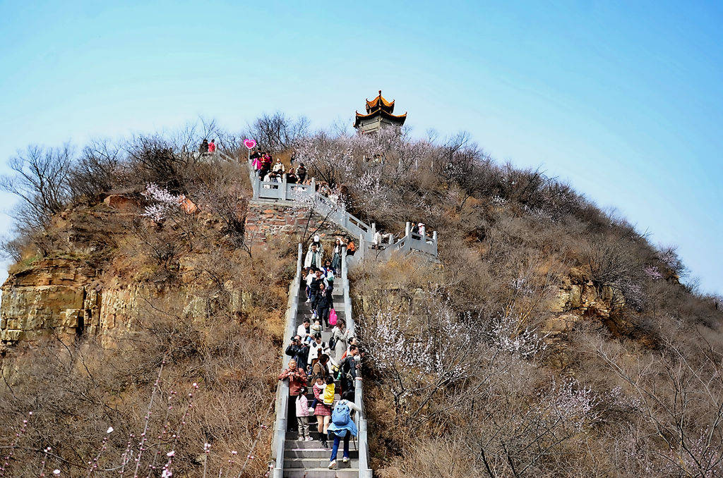 洛阳荆紫仙山第十届黄河桃花文化旅游节盛大开幕!_游客_新安_景区