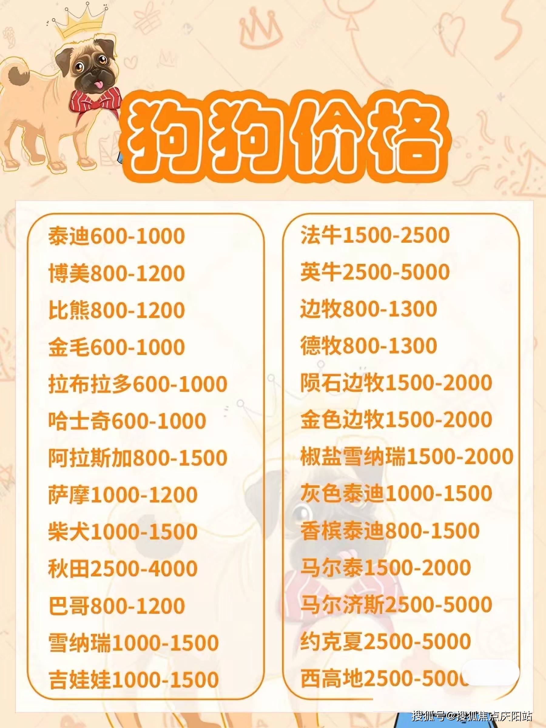 北京哪里有卖阿拉斯加幼犬的地方北京买阿拉斯加幼犬这里可实体店挑选