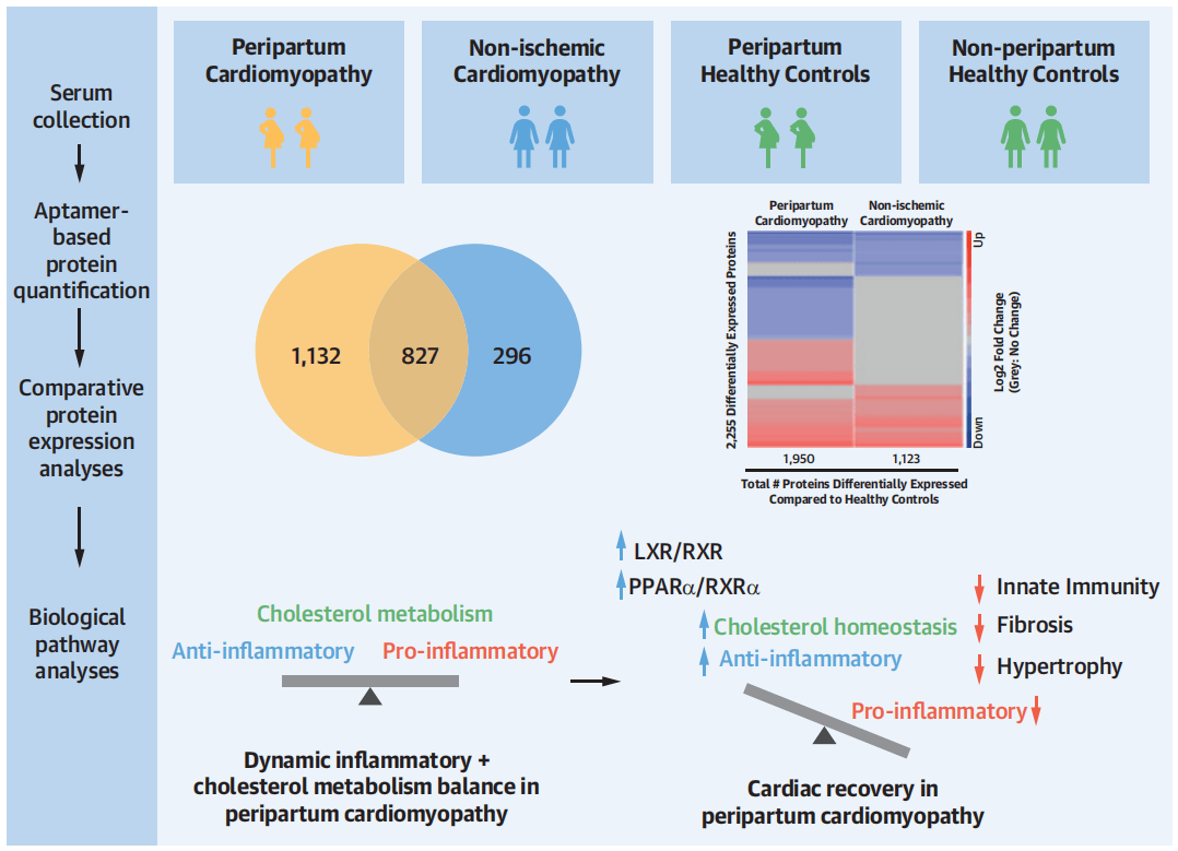 解锁健康密码探索血液检测在疾病诊断和治疗的革新应用