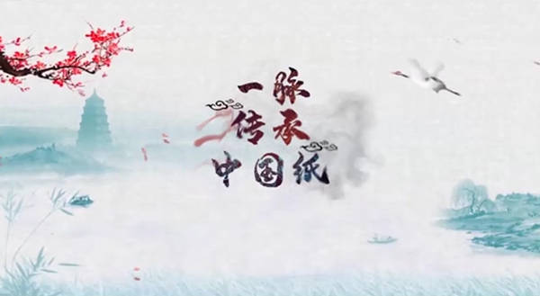 推动造纸行业绿色发展的先行企业,金红叶纸业集团专注于生活用纸行业