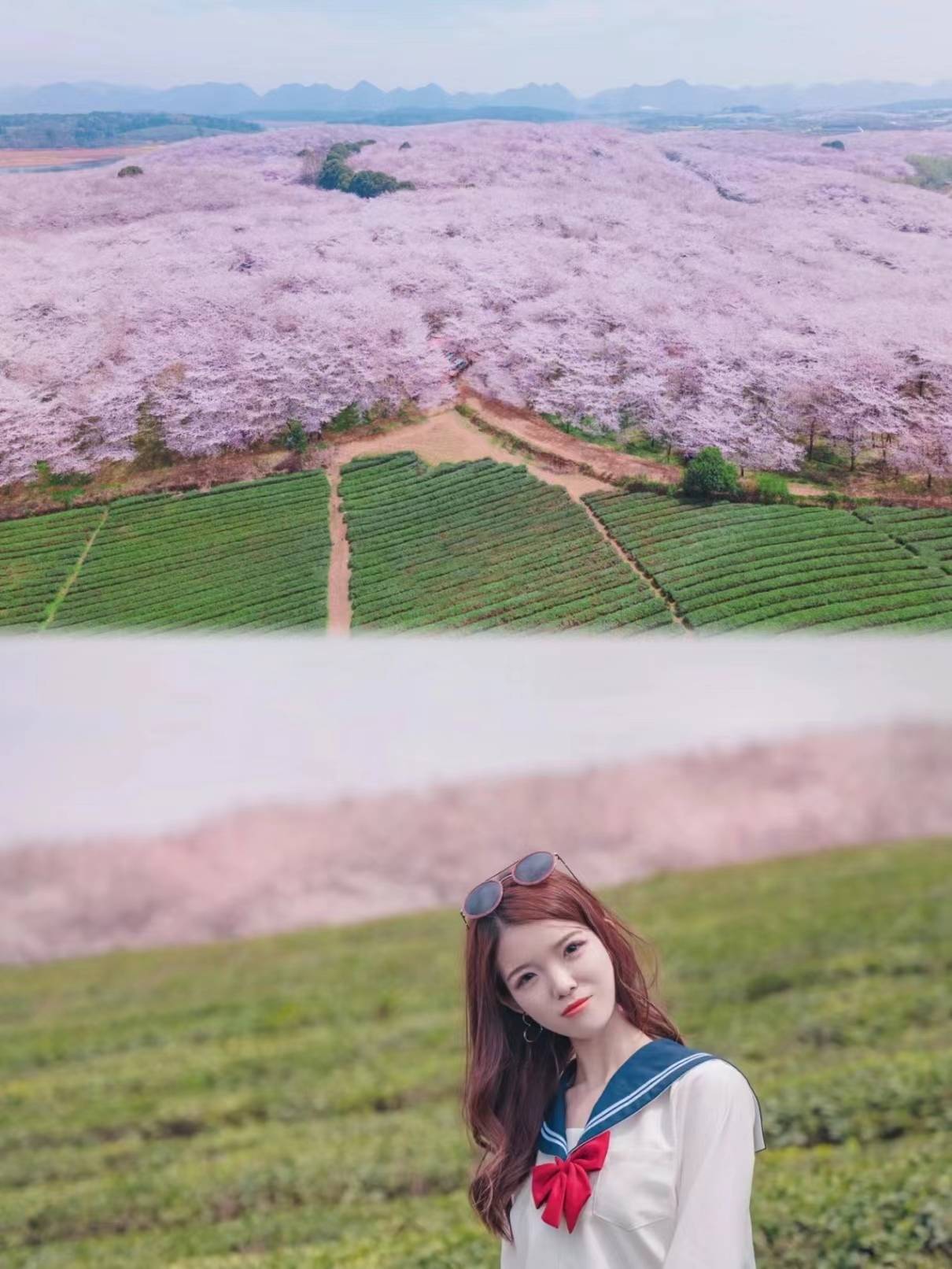 贵州平坝樱花门票多少钱平坝樱花最佳观赏时间是什么时候