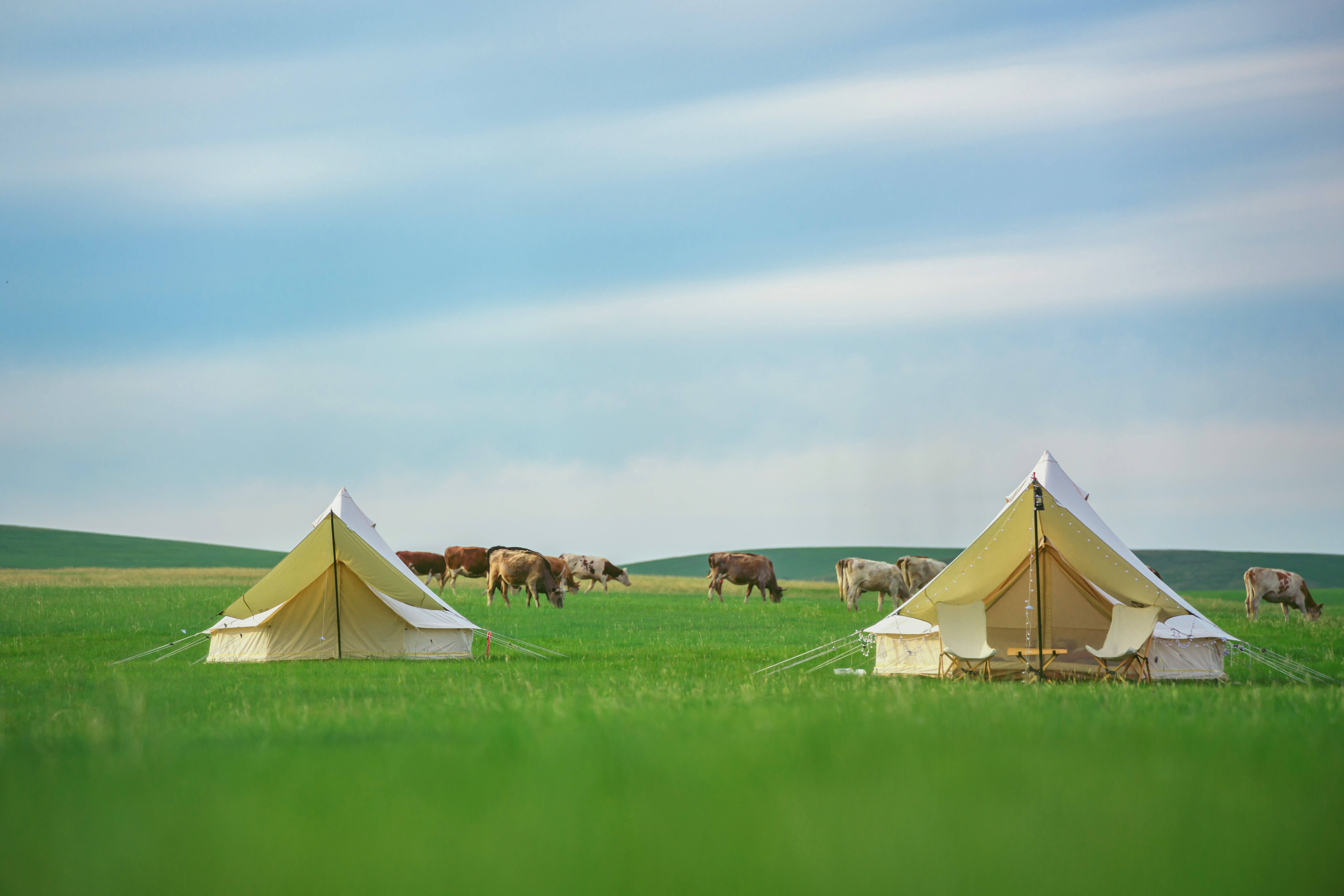 呼伦贝尔野奢帐篷亲子游_草原_生活_旅行