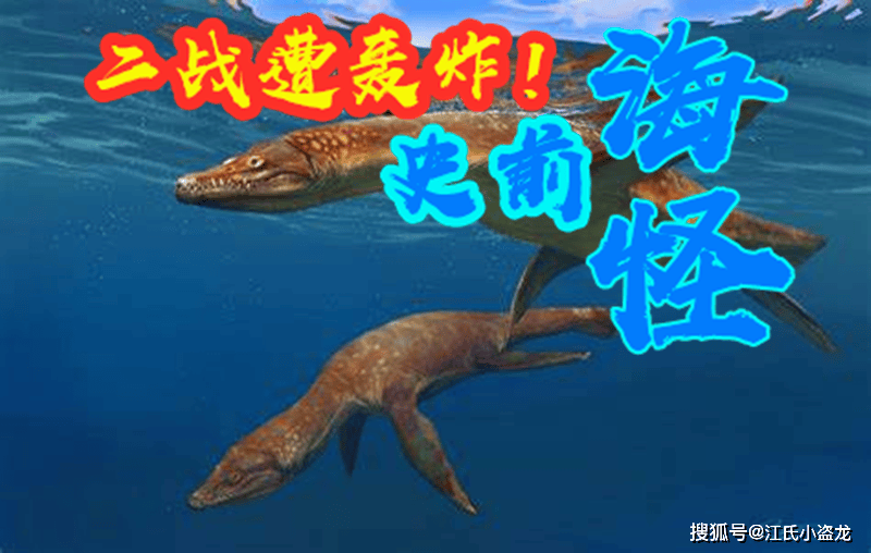 原创史前海怪二战中被炸毁的海龙有了名字