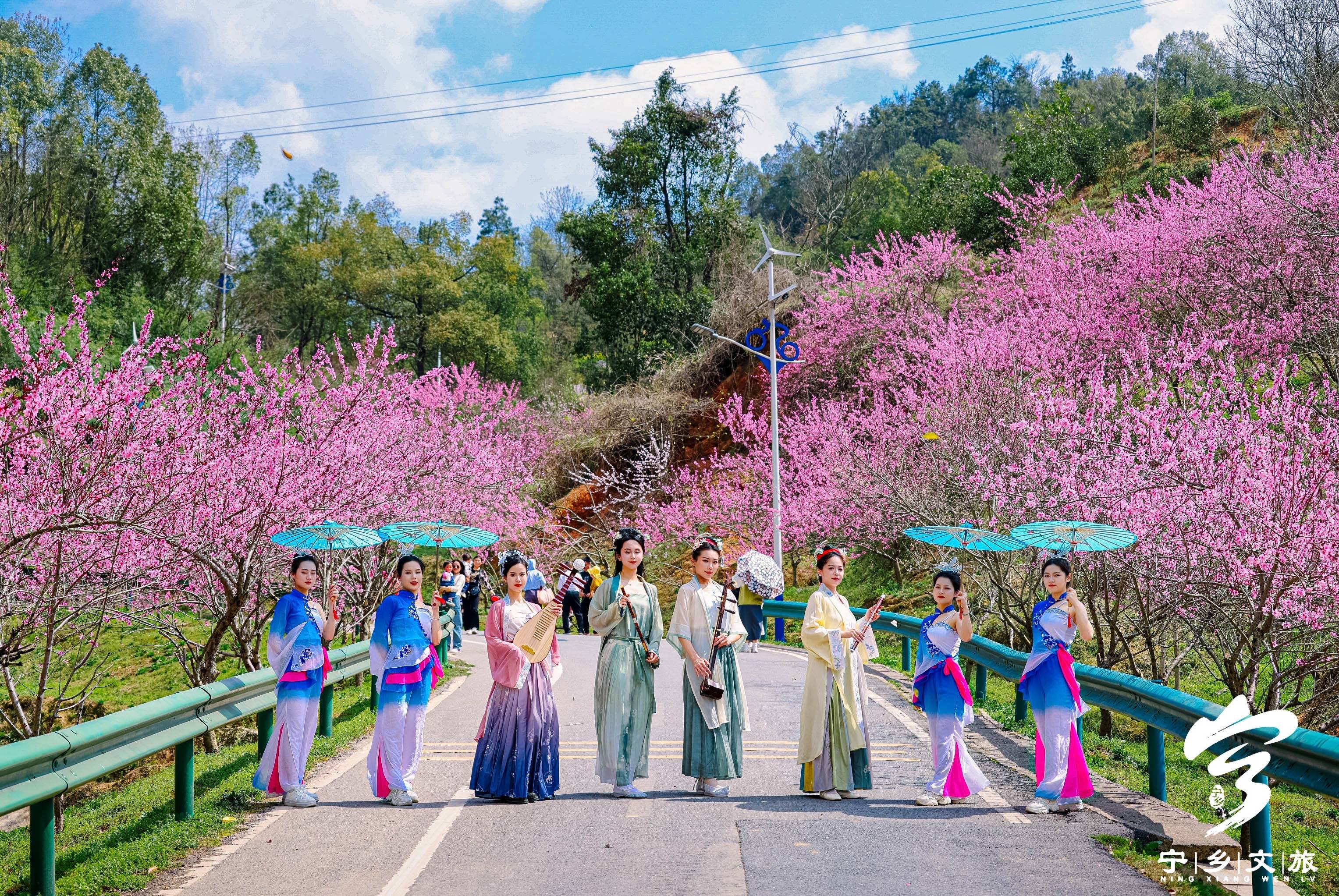 临朐嵩山桃花节图片