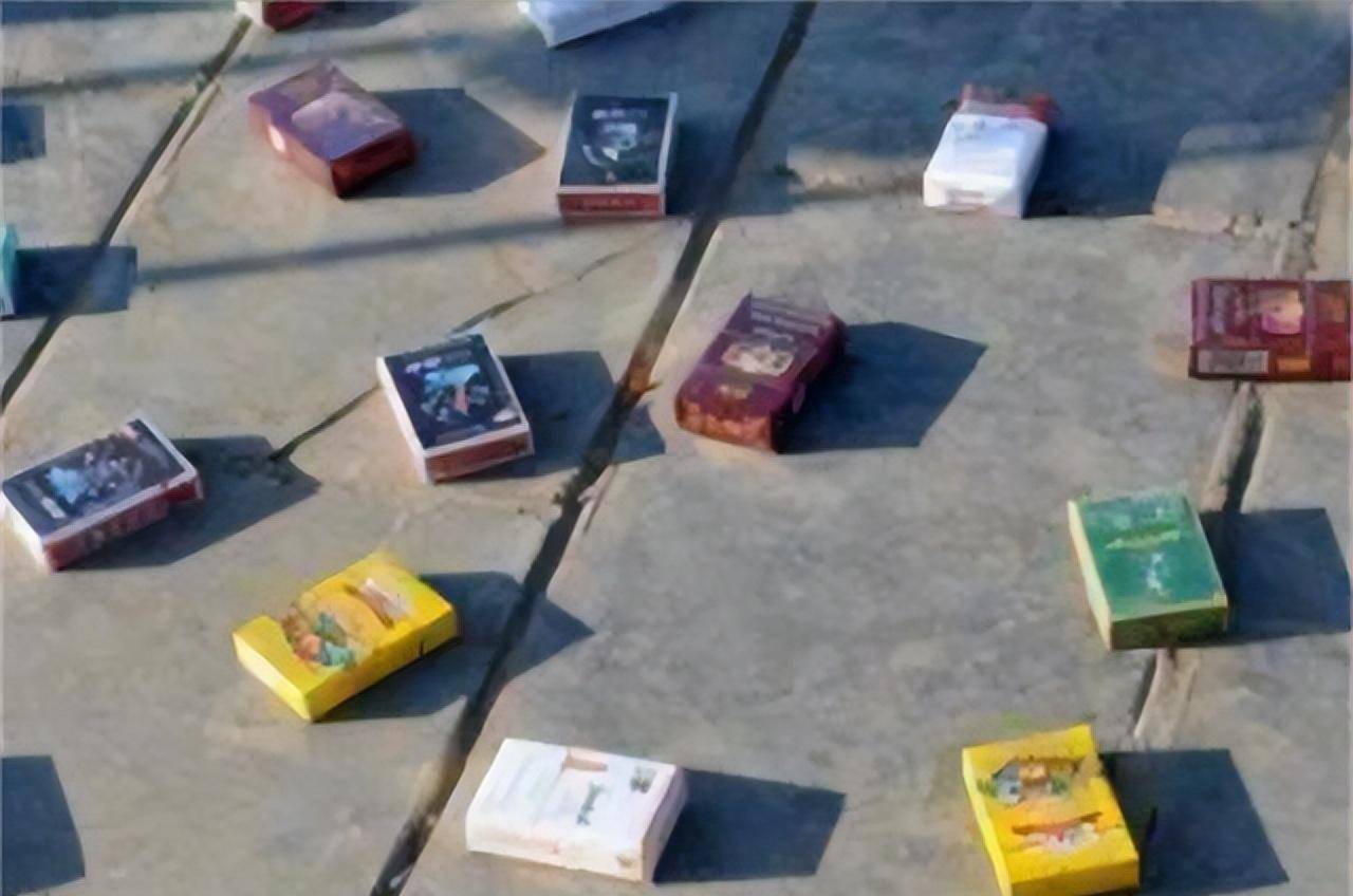 溥仪的亲妹妹街边摆摊马未都拿出一极品官窑她连看都没看