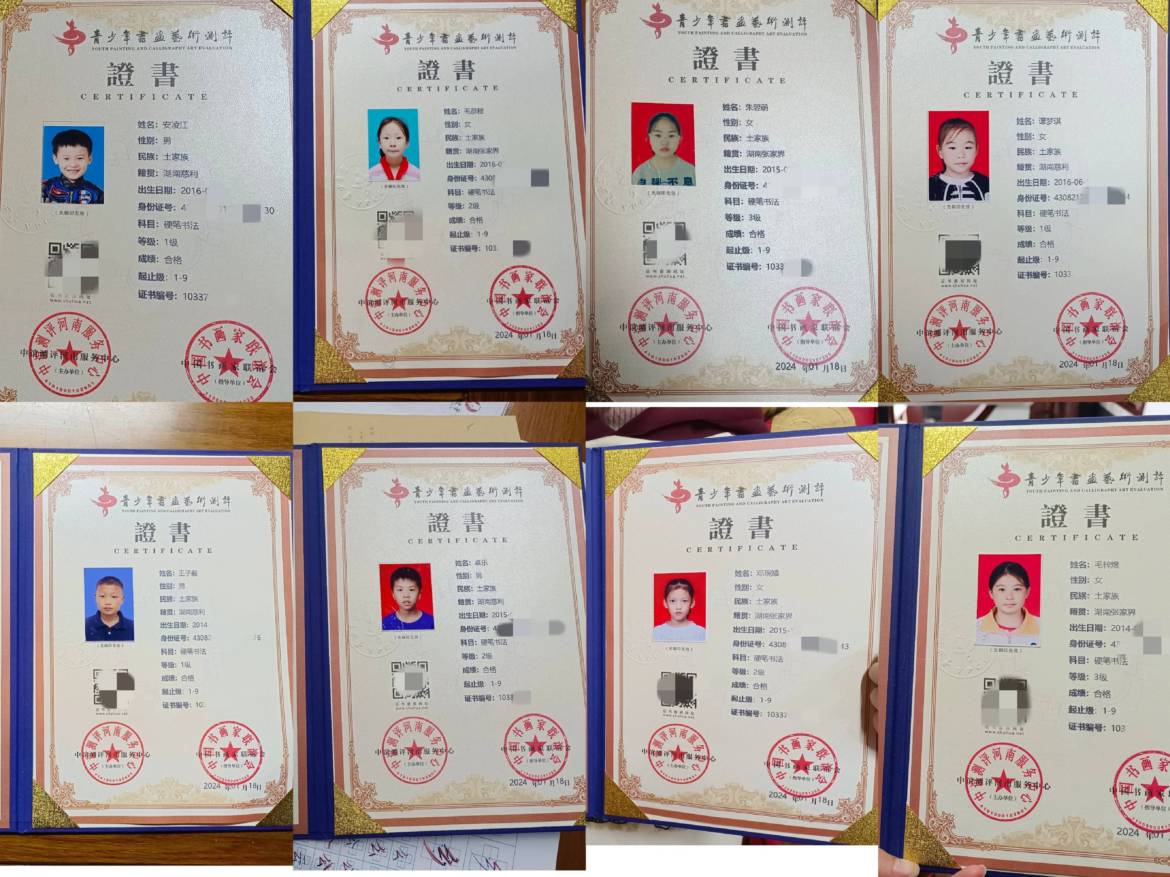 中国书画等级考试证书图片
