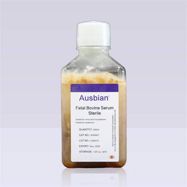 一文了解胎牛血清