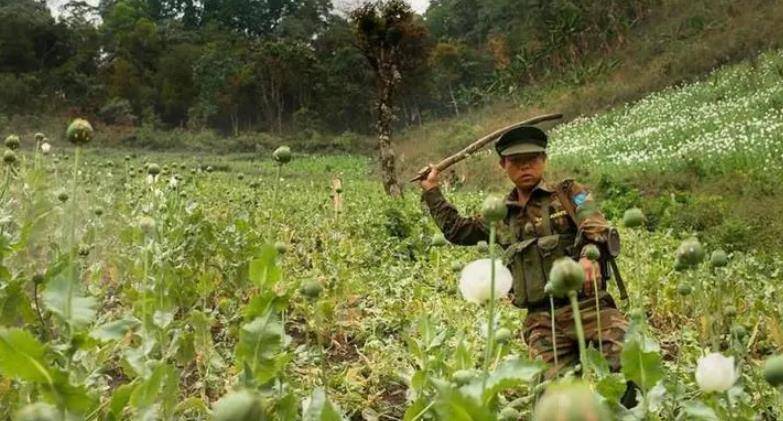 原创彭家声去世果敢王的一生有多传奇