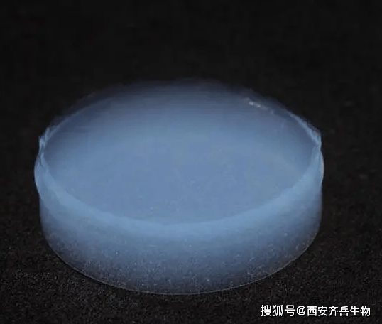 负载mof的3d钌石墨烯气凝胶复合材料金属氧化物石墨烯气凝胶