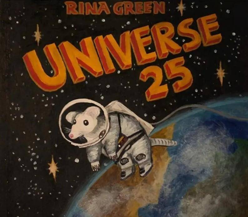 原创恐怖的25号宇宙实验为老鼠打造乌托邦1780天后鼠群却灭亡