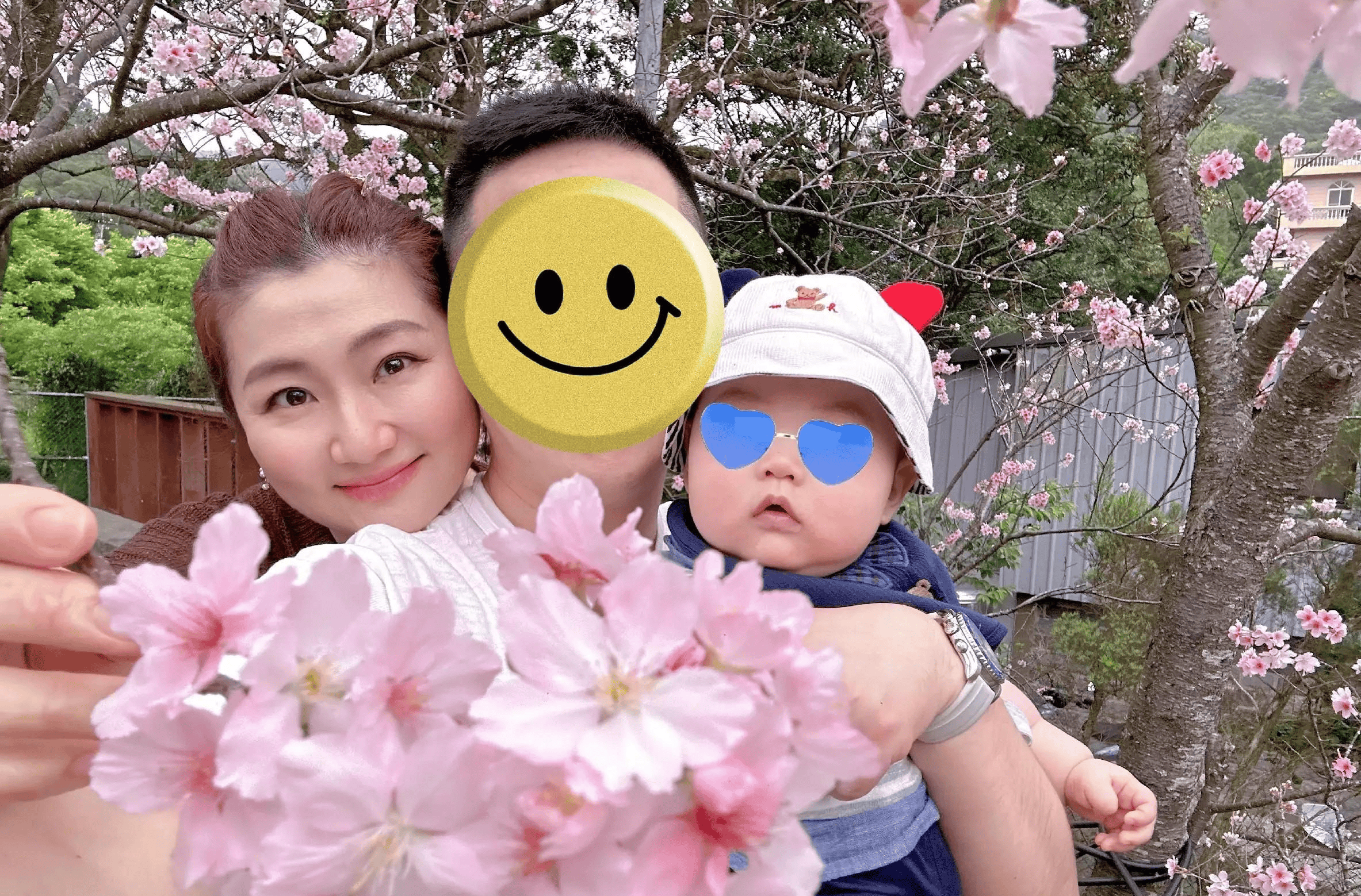 selina晒一家三口赏樱花照,她甜靠老公肩上,小朋友肉嘟嘟好可爱