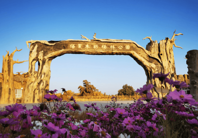 四海云游巴音郭楞旅游路线好玩的吗具体景点攻略