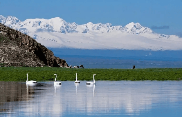 四海云游巴音郭楞旅游路线好玩的吗具体景点攻略