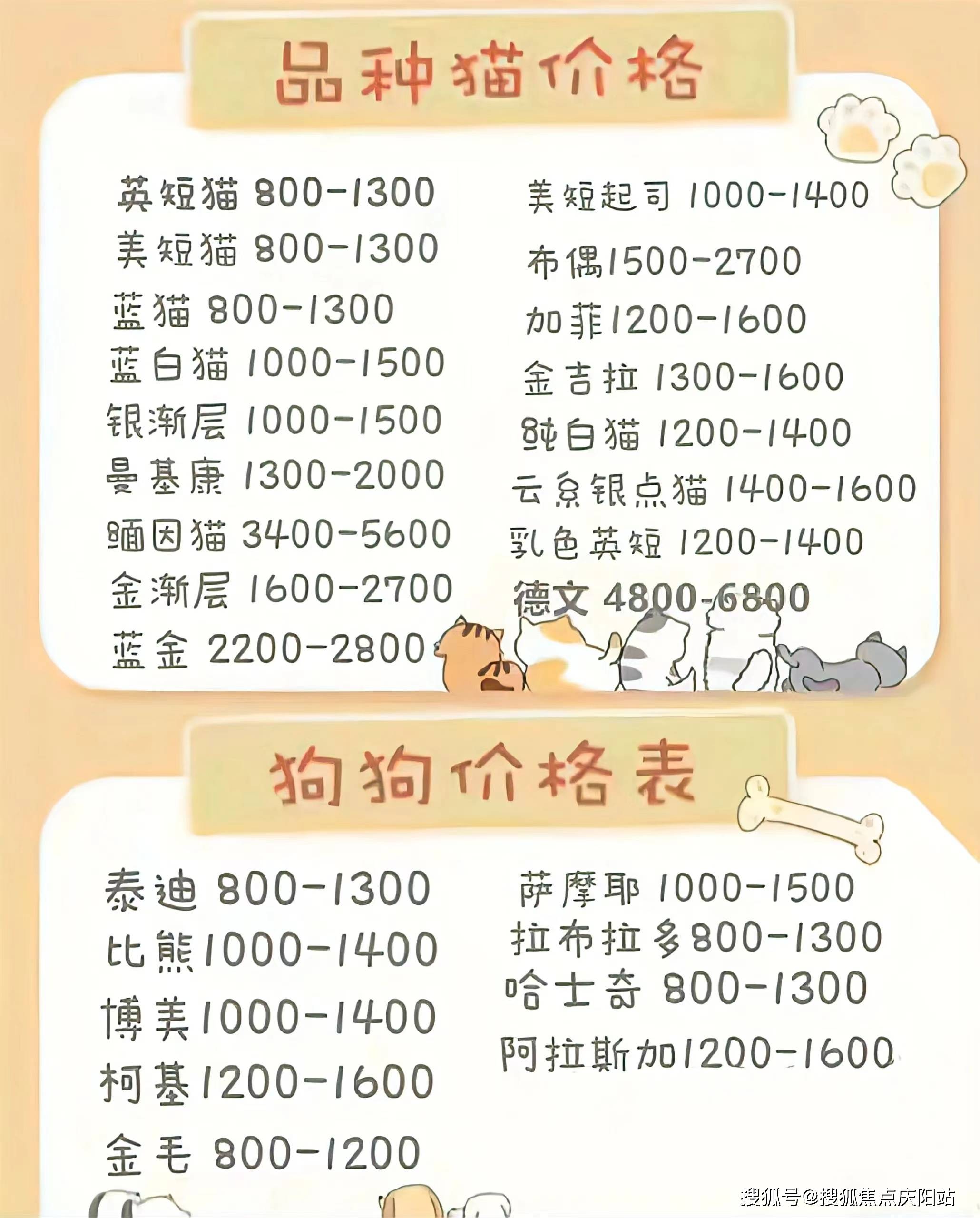 长沙布偶猫首页网站长沙布偶猫多少钱一只买丨布偶猫多少钱一只买