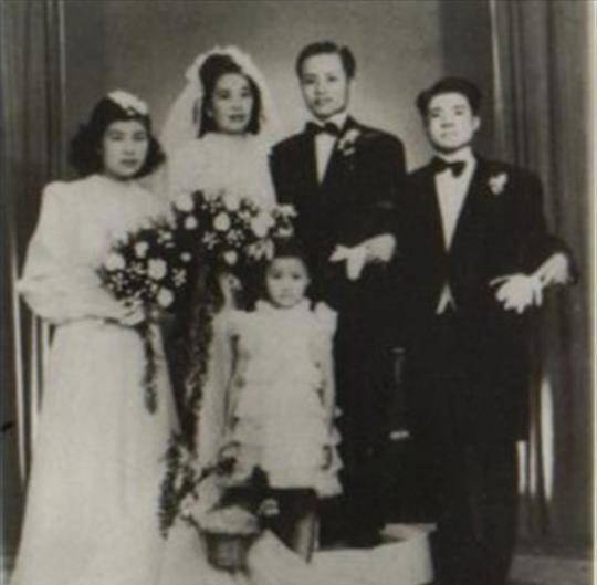 交代女婿:政治不好弄,你和怜儿不要卷进去_杨品仙_女儿_陈琏