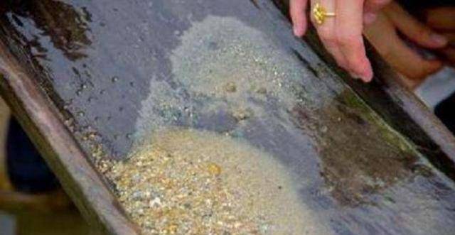 原创老汉捡到千年蚕宝宝借50元路费去上交结果咋样