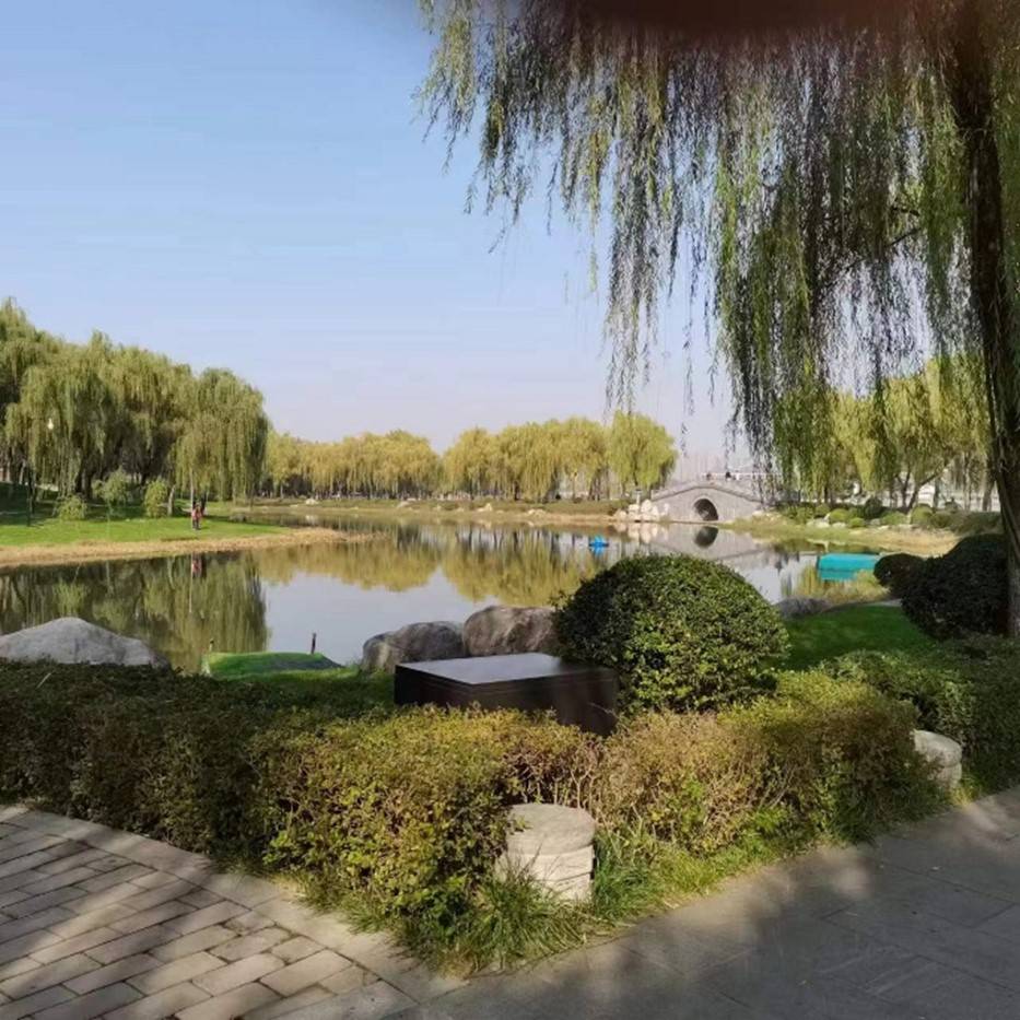 银行分红泥沙俱下一蓑烟雨任平生