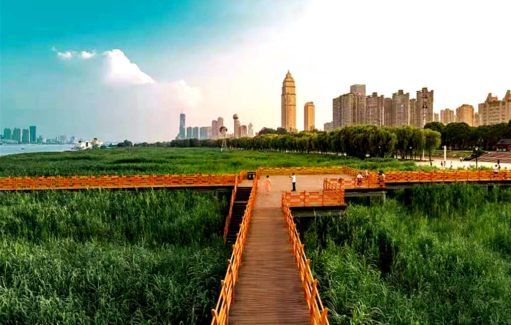 汉口江滩公园图片