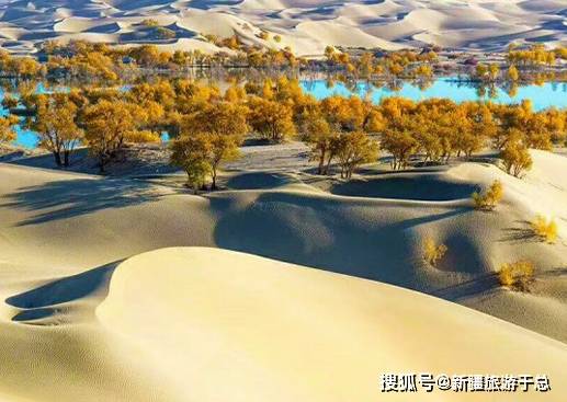 开车跑最长沙漠路,看顽强胡杨林,逛奇特峡谷,赏高原湖景,品古城风韵._