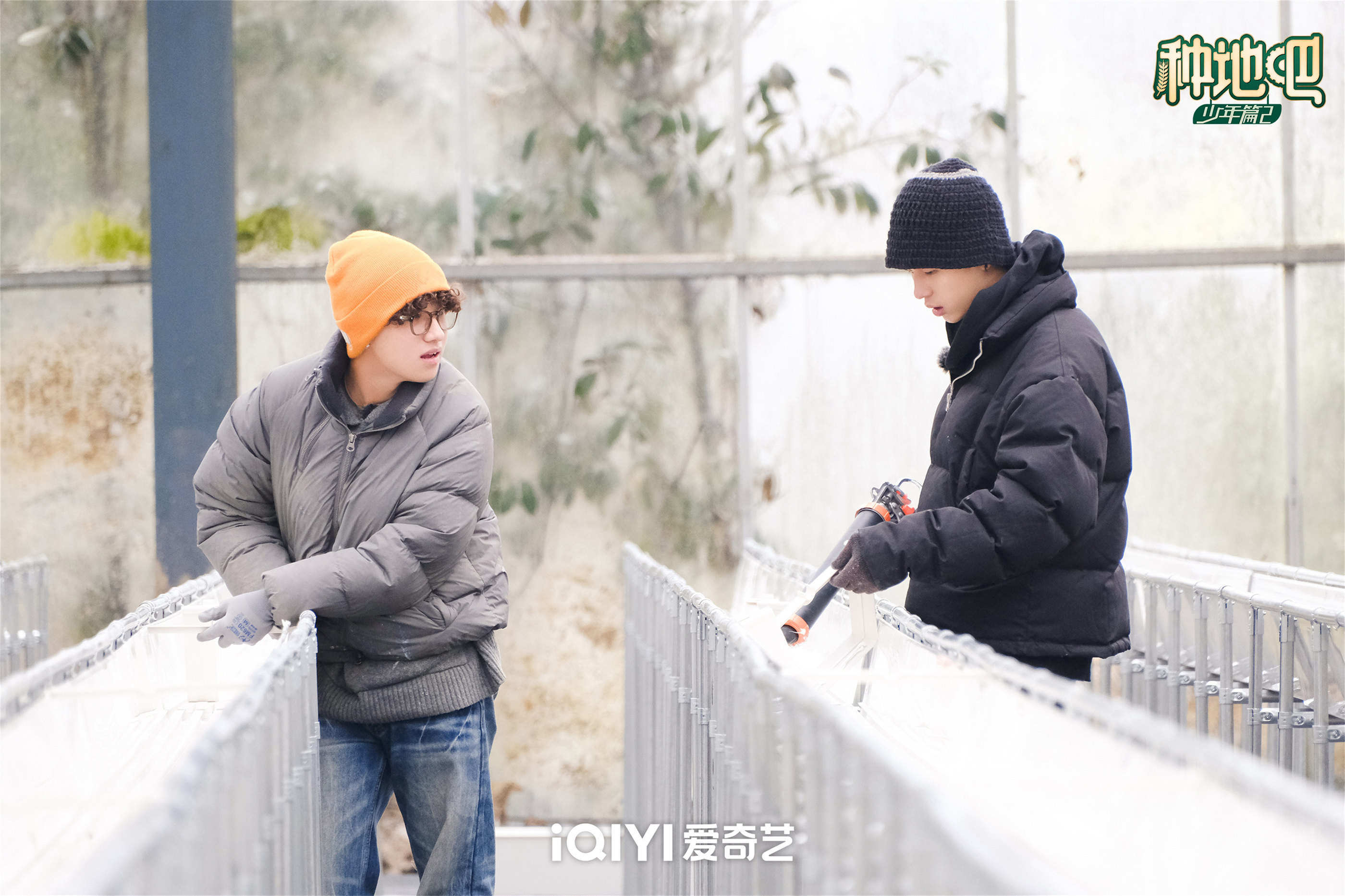 种地吧2十个勤天搬玫瑰今时不同往日干活脑力上强度