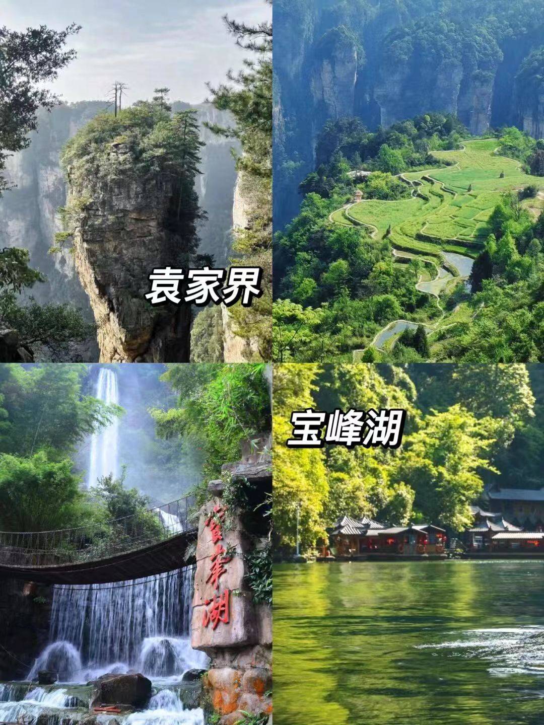 鬼谷栈道;玻璃栈道;十里画廊;金鞭溪;大峡谷;五雷山;张家界朝阳地缝