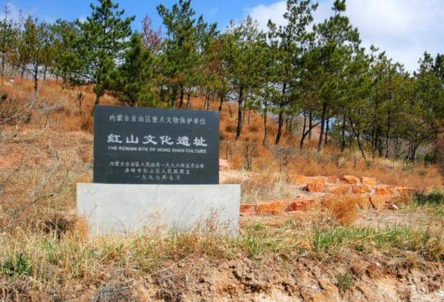 原创红山玉龙猪龙与c龙如何用除了祈雨求收置于墓主胸背以升天