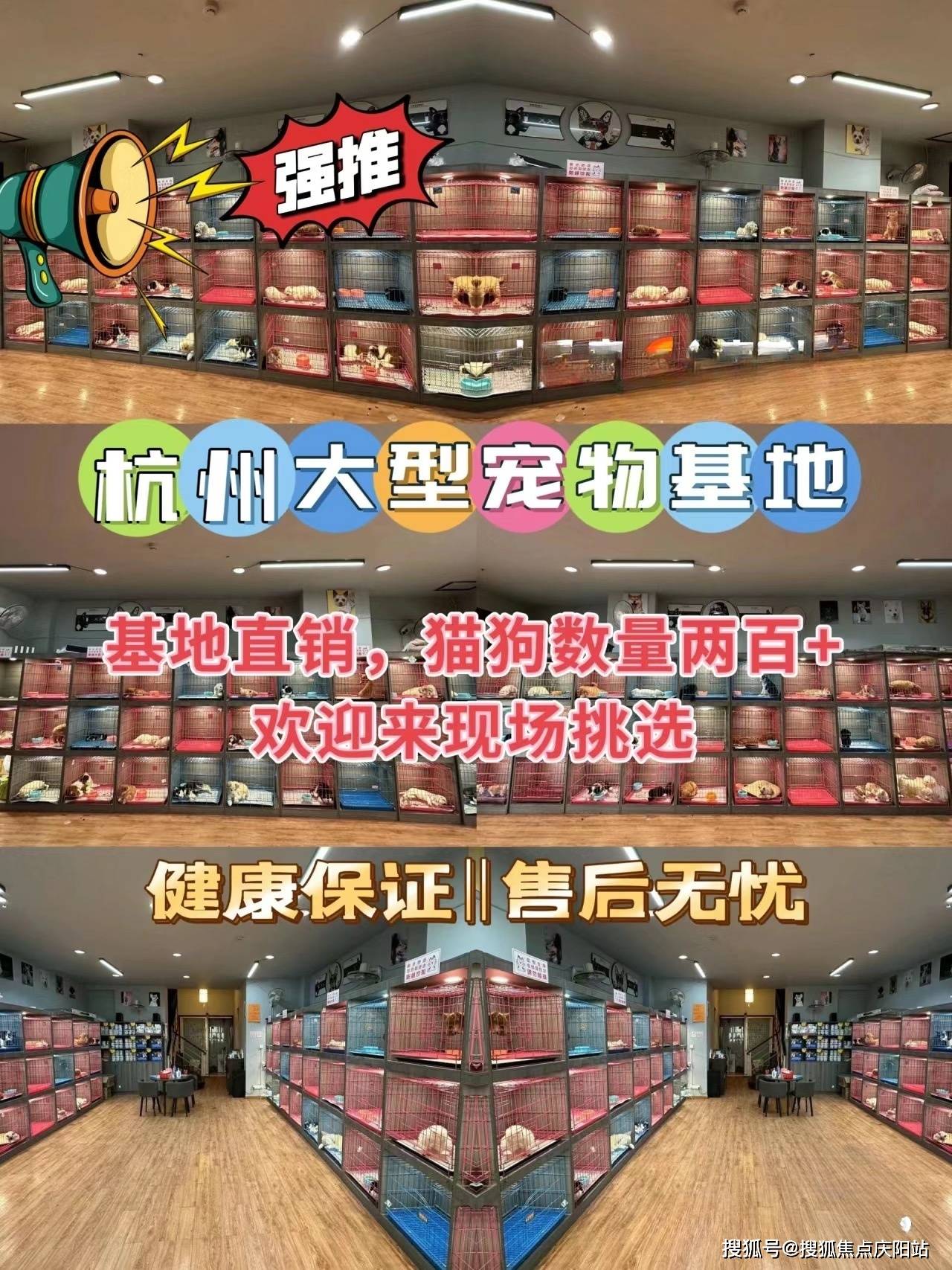 买宠物首页网站宁波镇海区口碑好的宠物店在哪里