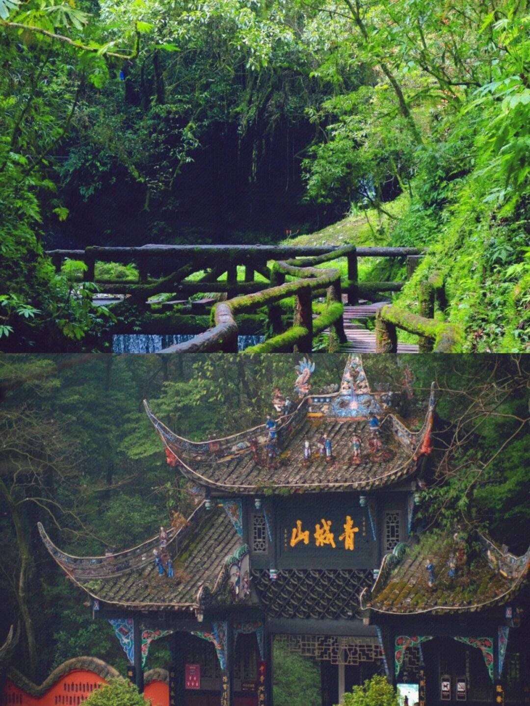 成都四川旅游3天怎么安排青城山都江堰三天两晚多少钱行程路线及费用