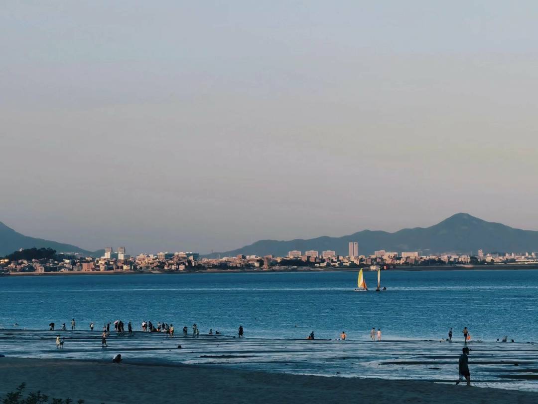 福建厦门旅游报团攻略厦门旅游达人分享攻略