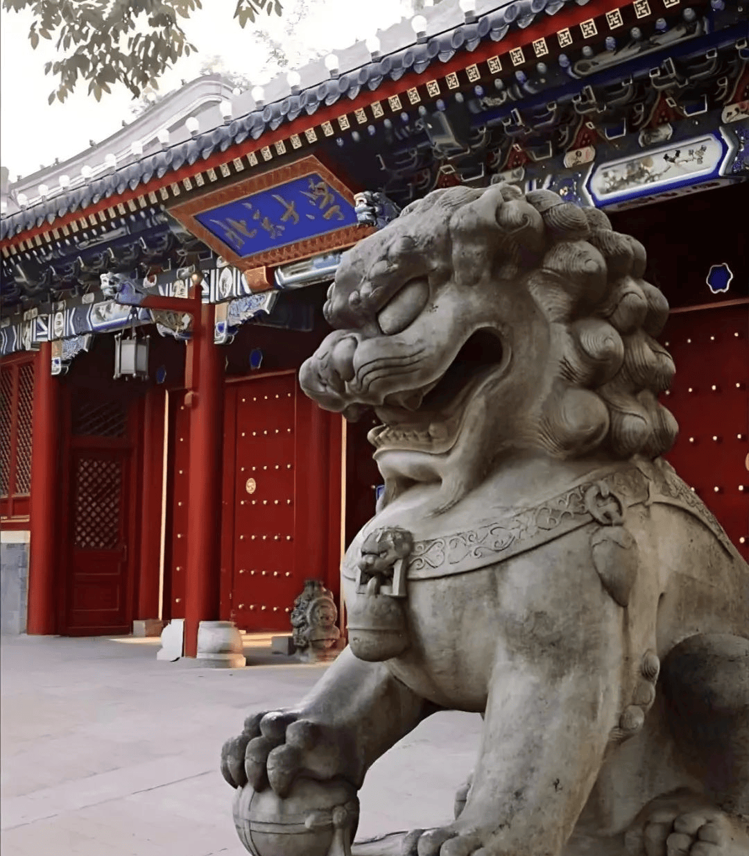 北京大学喜报祝贺项城一高2020届优秀毕业生王士豪荣获北京大学双项奖
