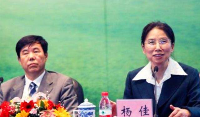 中科院教授杨佳15岁上郑州大学29岁失明遭抛弃8年考上哈佛