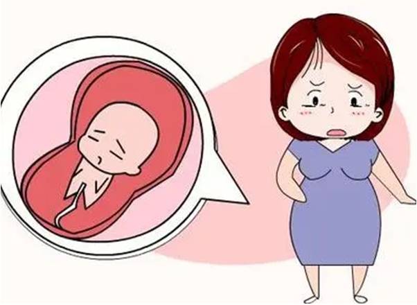 多囊卵巢如何备孕成功(多囊怀孕后如何保胎)