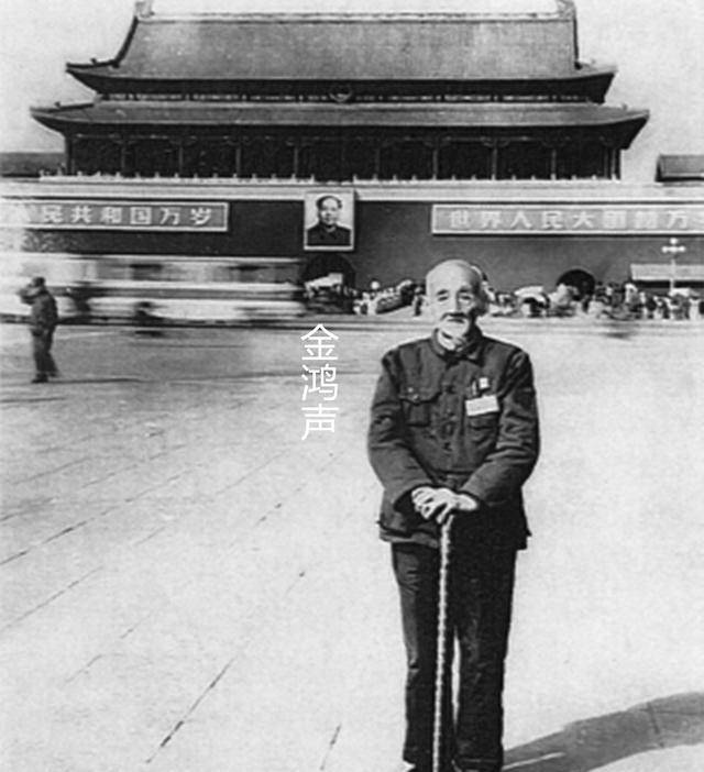 孙中山的传令兵:总统叫他不用敬礼,临别送上汉族存亡,在此一举_金鸿声