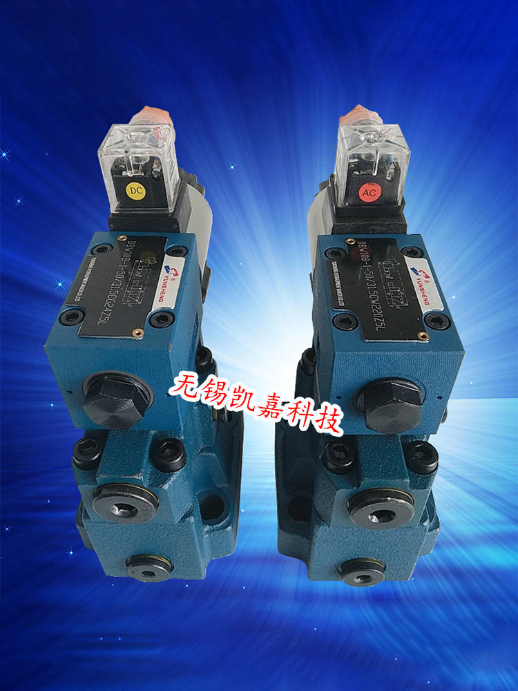 yunsheng运盛电磁溢流阀dbw10b50315ac220vdbw20b50dbw30b50315dc24v