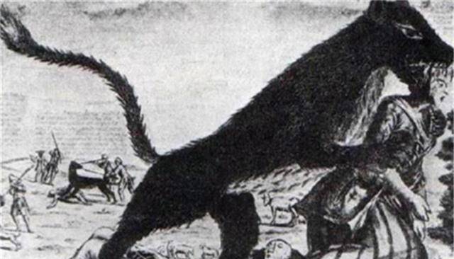 原创这个狼人3年杀害200多人被银子弹打中后尸首突然不见