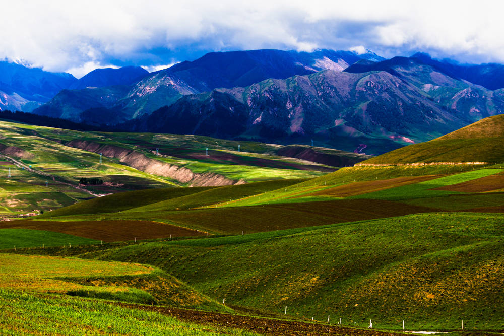 七天如何玩转大西北,西北7天旅游路线,路线安排费用以及经历