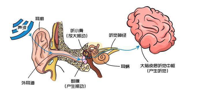 突发性耳聋