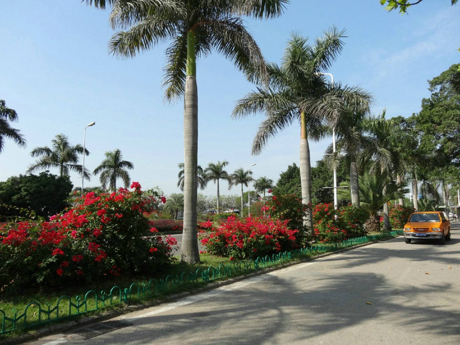 厦门岛内旅游必去十大景点推荐,厦门景区旅游路线图,值得收藏