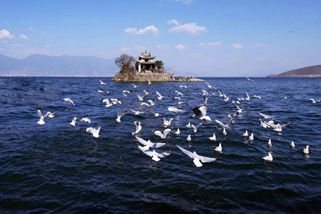 云南大理丽江旅行导游旅游报价,看完就知道了_阿星_行程_景点