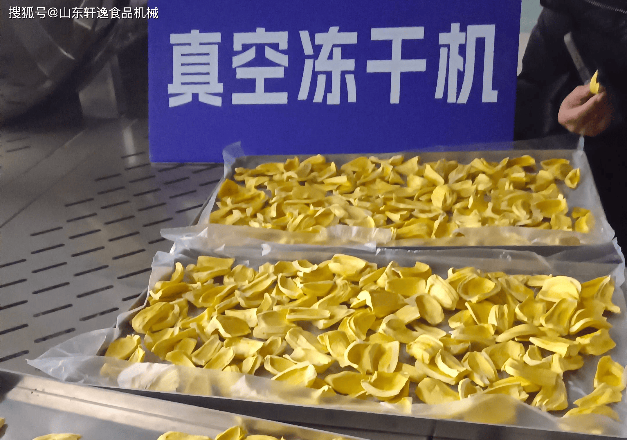 菠萝蜜冻干机加工的水果储存多长时间