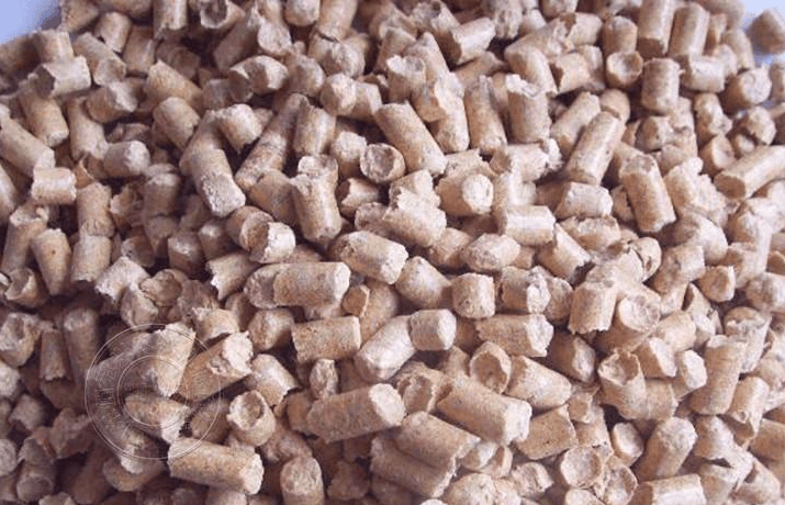 猪场喂猪必备的中国养猪养猪秘诀,别不在意_饲料_食用_进行