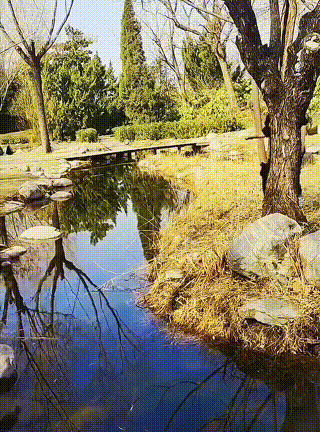 壁纸 风景 摄影 桌面 320_432 竖版 竖屏 手机
