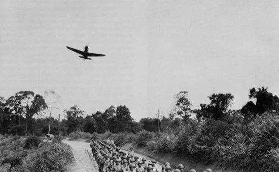 云南村民挖出多个汽油桶,里面装满军人尸骸,平均年龄只有20岁