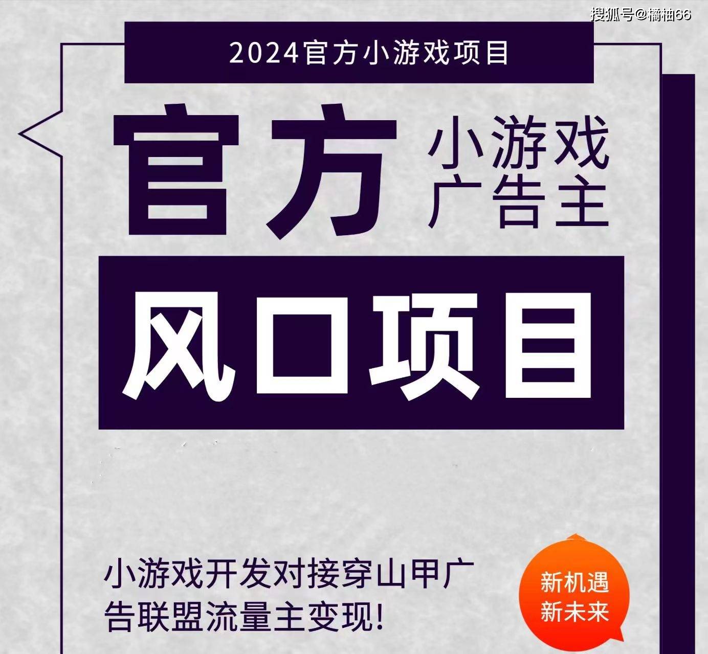 揭秘广告联盟:如何高效运作以赚取丰厚收益