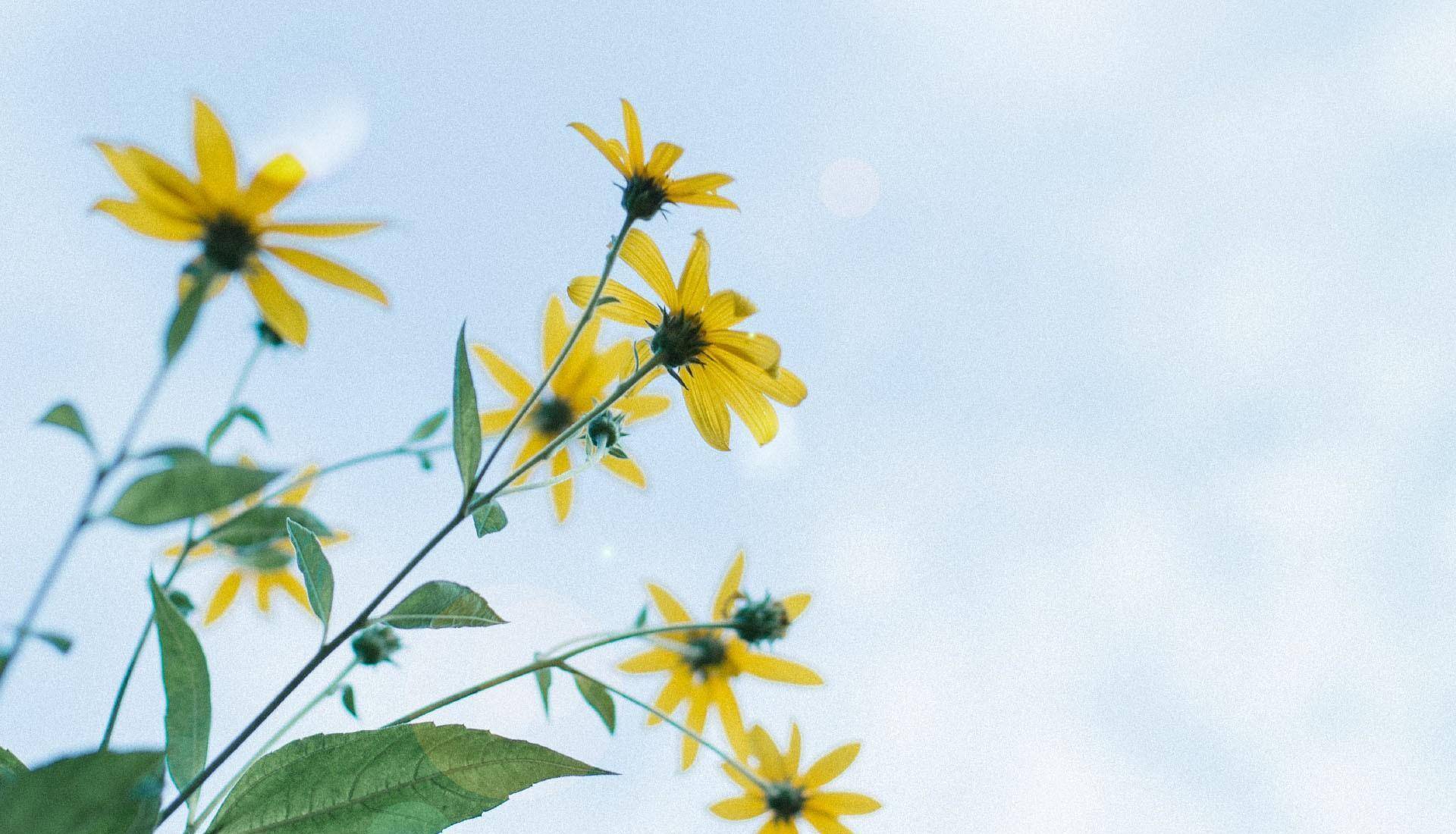 真正有大格局的人,在这些事上很厉害