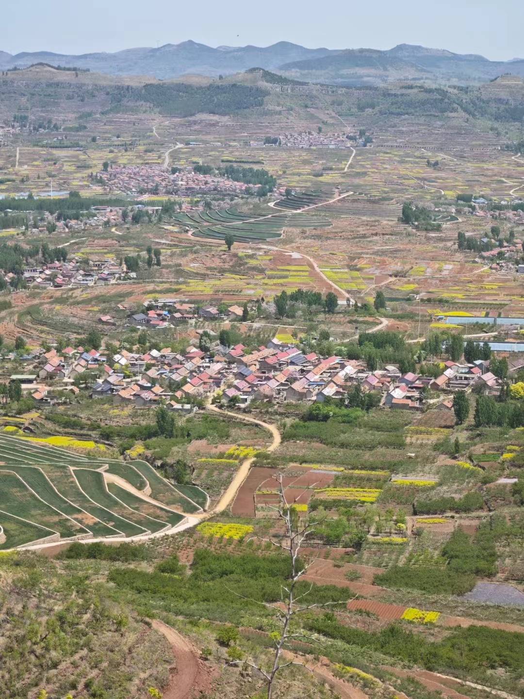 站在鸡冠山游目四方,远天群崮如黛螺,目下奇峰似怪鸟,胸胆开张,心旷神