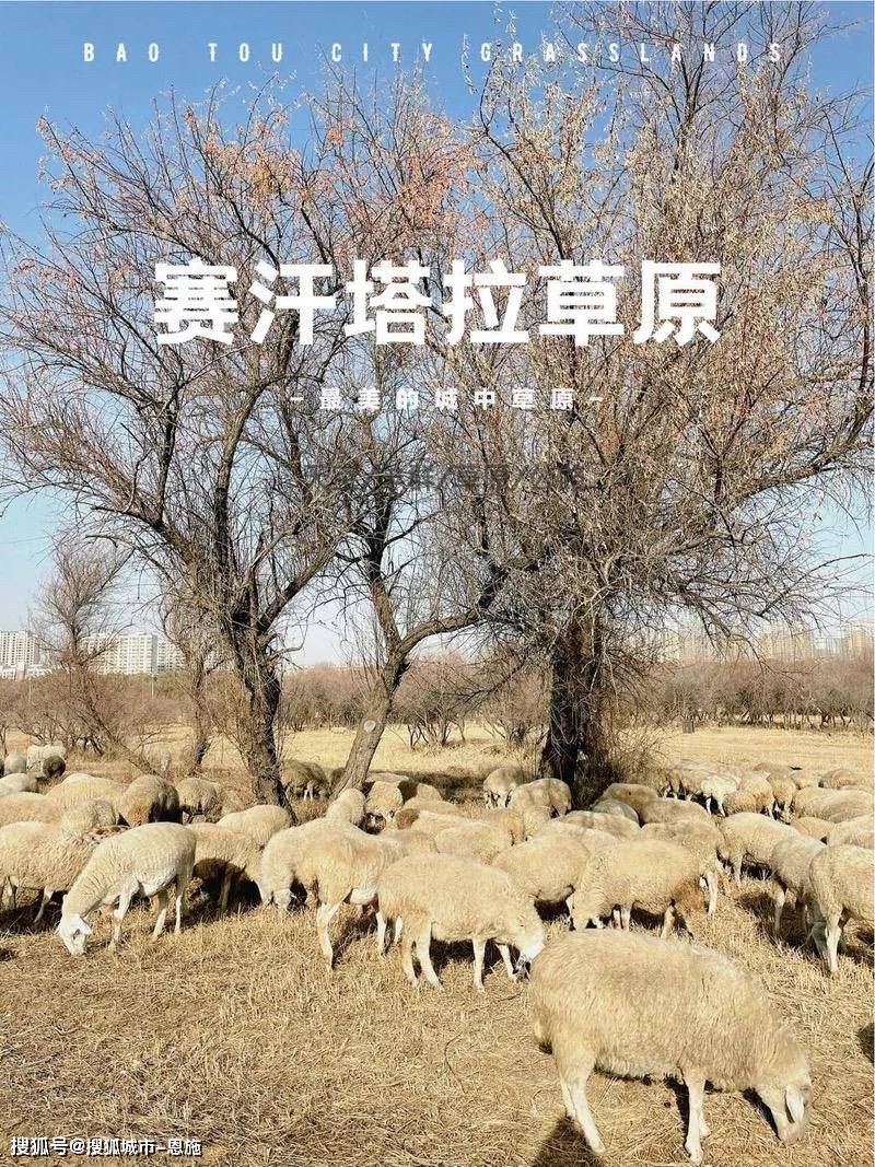 全程5天4晚,景点门票,交通,司机,当地导游,内蒙古5天4晚双人游才花了